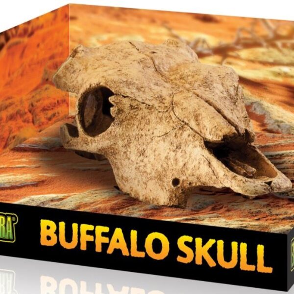 EXO TERRA Buffalo Skull (czaszka bawoła)