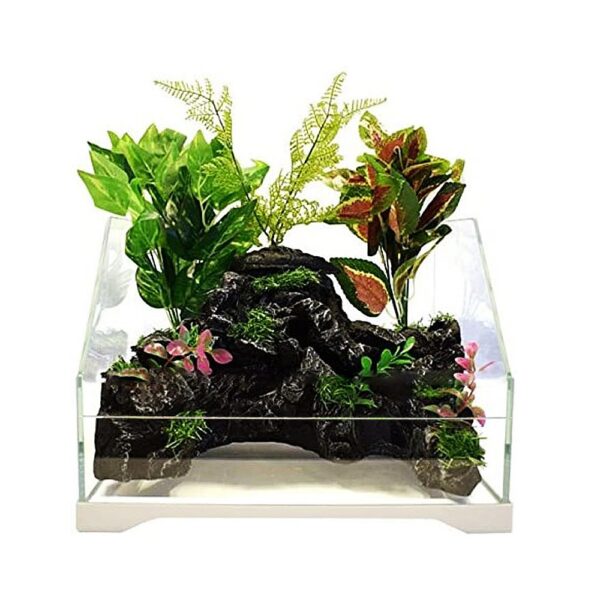 SunSun Aqua Paludarium 30 l - zestaw paludarium - obrazek 2