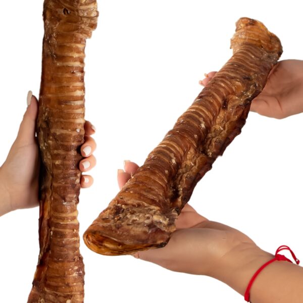 Dogario Bonni Beef Throat XL - chrupki gryzak 30cm - 40cm - obrazek 3