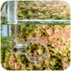 Neo Mixer L CO2 Reactor - reaktor CO2 - obrazek 2