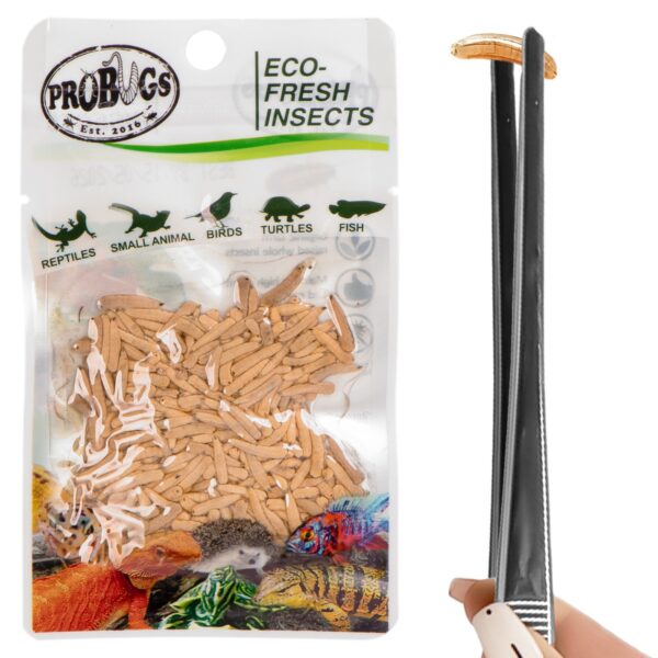 Probugs Small Gecko and Amphibians Set - zestaw dla małych gadów i płazów - obrazek 3