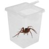 Terrario Insect Box High - plastikowe terrarium 9x9x11cm - obrazek 3