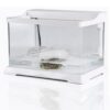 SunSun Nature Complete Turtle's - Akwa-Terrarium dla żółwia 37l - obrazek 3