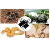 Terrario Premium Repti Pad 20W - mata grzewcza z regulacją - obrazek 3