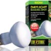 EXO TERRA Daylight 50W (żarówka neodymowa)
