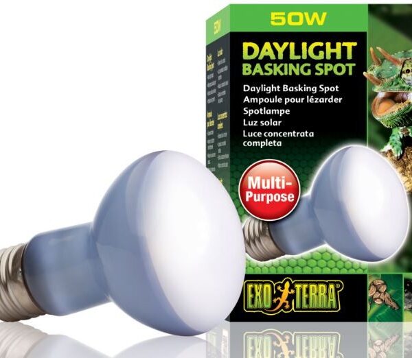 EXO TERRA Daylight 50W (żarówka neodymowa)