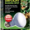 EXO TERRA Daylight 50W (żarówka neodymowa) - obrazek 2