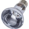 Repti-Zoo Neodymium Daylight 75W - żarówka grzewcza neodymowa