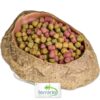 Terrario Rock Oasis S – Miska do Terrarium 10x6,5x2,5 cm - obrazek 3
