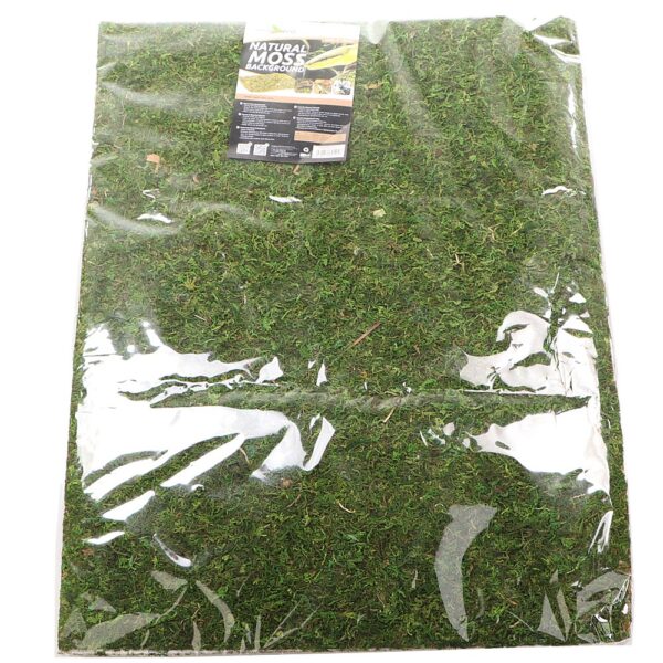 Repti-Zoo Natural Moss Back&Bottom - tło i podłoże z mchu 50x25cm - obrazek 2