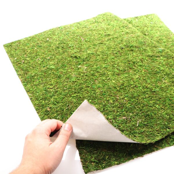 Repti-Zoo Natural Moss Back&Bottom - tło i podłoże z mchu 50x25cm - obrazek 3