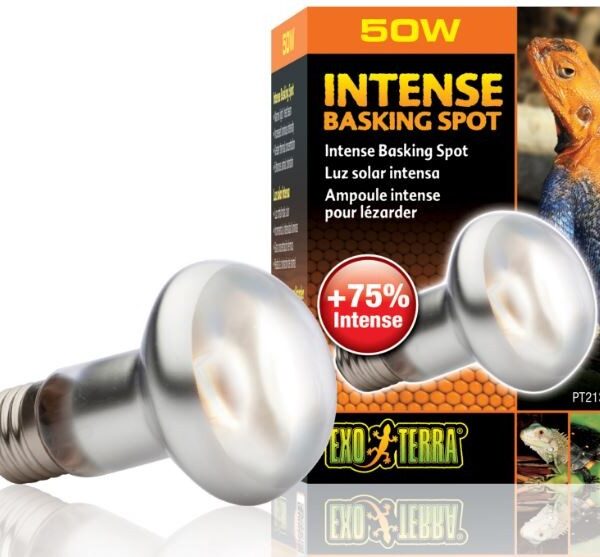 EXO TERRA Intense Basking Spot 50W (żarówka grzewcza)