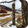 Gami Kolba XXL słonecznikowa 250g - pokarm dla ptaków dzikich - obrazek 3