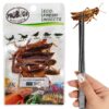 ProBugs Eco-Fresh Grasshopper 8pcs - świeże koniki polne - obrazek 2
