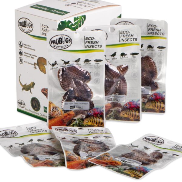 ProBugs Eco-Fresh Dubia Cockroach 15 x 5pcs - świeże karaczany argentyńskie 15 saszetek - obrazek 2