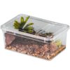Terrario Reptiland 19x12x7,5cm - przeźroczyste terrarium faunarium - obrazek 3