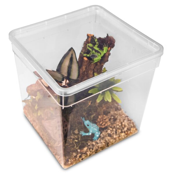 Terrario ReptiBox 19x19x19cm - przeźroczyste terrarium faunarium - obrazek 3