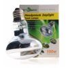 Repti-Zoo Neodymium Daylight 100W - żarówka grzewcza neodymowa - obrazek 2