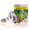Repti-Zoo Neodymium Daylight 100W - żarówka grzewcza neodymowa - obrazek 3