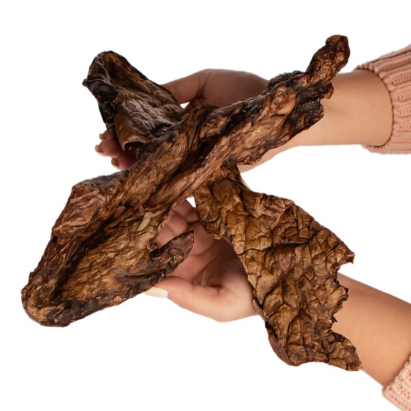 Dogario Bonni Smooth Meat XXL - mięso wołowe 2 sztuki - obrazek 2