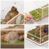 Repti-Zoo Easy Clean Acrylic Terrarium - terrarium akrylowe 20x10x10cm - obrazek 2