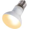 Repti-Zoo Beam Spot 50W - żarówka grzewcza punktowa - obrazek 2