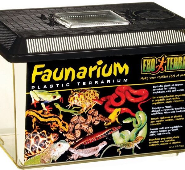 EXO TERRA Faunarium-Terrarium Medium (30x19.5x20.5cm)