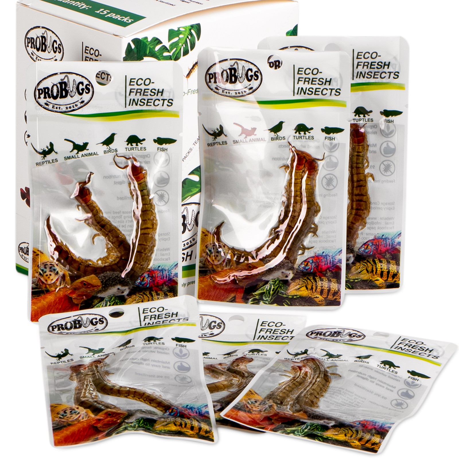 ProBugs Eco-Fresh Scolopendra Centipede 15 x 2pcs - świeże skolopendry 15 saszetek - obrazek 2